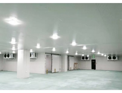 廣東完美400㎡日用品恒溫庫、冷藏庫（防爆冷庫）工程建造方案