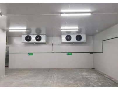 徐州血站95m3醫(yī)藥自動(dòng)化冷庫工程建造方案