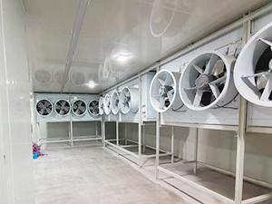 速凍冷庫(kù)內(nèi)景圖片