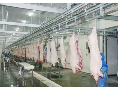 四川18000立方米屠宰場(chǎng)加工冷庫(kù)規(guī)劃工程項(xiàng)目