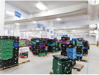 杭州盒馬47408立方米生鮮電商冷庫(kù)規(guī)劃設(shè)計(jì)工程項(xiàng)目