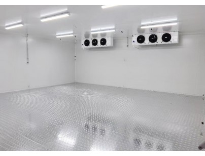 上海優(yōu)寧維集團生物醫(yī)藥冷藏、冷凍庫工程案例