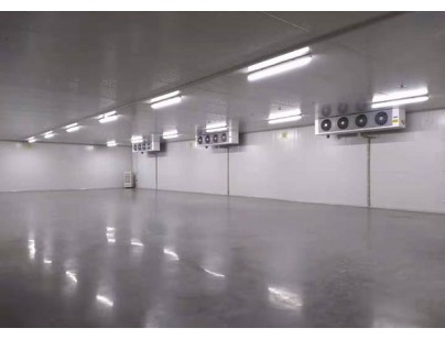 山東魯抗醫(yī)藥集團32500㎡藥品恒溫冷庫建造施工