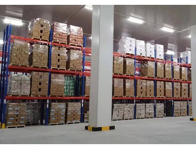 湖南宇培10000㎡農(nóng)產(chǎn)品冷鏈物流冷藏庫(kù)（低溫冷庫(kù)）工程案例