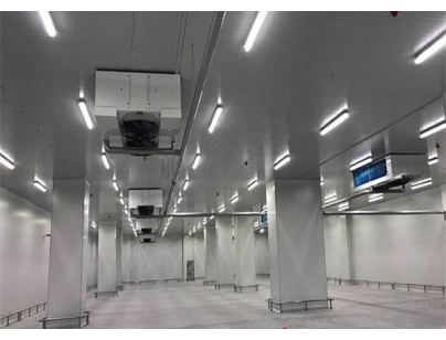 湖北周黑鴨80000m3生產(chǎn)加工型成品低溫食品冷庫工程建造方案