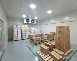 四川gsp藥品類型診斷試劑冷庫(kù)建造施工方案