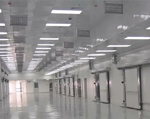 大型冷鏈物流冷庫(kù)設(shè)計(jì)定做冷庫(kù)多少錢一平方合適？