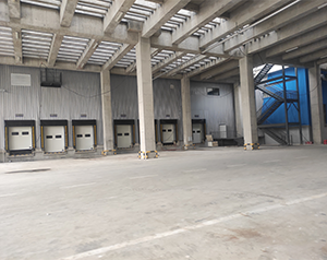 5000噸的果蔬保鮮庫的占地面積以及冷庫投入資金？