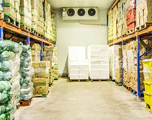 5000噸的果蔬保鮮庫的占地面積以及冷庫投入資金？