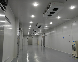醫(yī)藥物流冷凍庫，檢驗科試劑冷庫建設(shè)要求標(biāo)準(zhǔn)