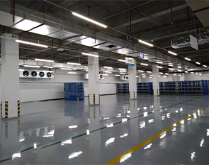 小型體外診斷試劑冷庫溫度需求以及投入資金是多少？