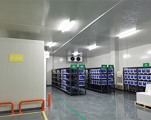 藥企公司建造低溫醫(yī)藥冷庫(kù)的方案和預(yù)算？