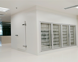 安裝一個(gè)滿(mǎn)足認(rèn)證標(biāo)準(zhǔn)的醫(yī)藥血清樣品冷凍庫(kù)需要多錢(qián)？