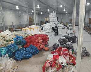 設(shè)計(jì)安裝農(nóng)業(yè)冷鏈生態(tài)冷庫(kù)造價(jià)大概需要投資多少錢？