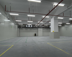 水果冷庫(kù)建設(shè)多少錢一平方