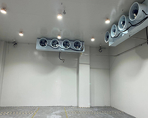 防爆冷庫是什么意思？化工防爆冷庫廠家聯(lián)系方式