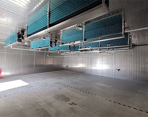 危險品冷庫設(shè)計標(biāo)準(zhǔn)