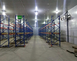 醫(yī)療冷庫的安裝標準，2-8℃生物制品冷庫制冷設(shè)備造價