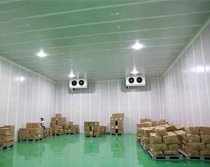 安裝10000m&sup3;生鮮物流冷藏庫（低溫倉庫）建設廠家收費標準