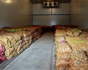 建造 1000噸食品加工冷庫大概需要多少錢？