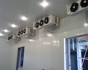 100噸水果冷庫(kù)造價(jià)是多少錢(qián)一平方米？