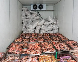 舌尖上的漁業(yè)制冷-海鮮、魚類冷庫