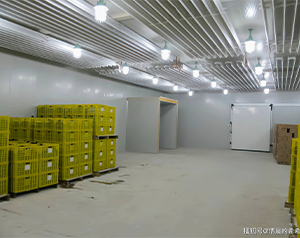 蔬菜制種有&ldquo;錢&rdquo;途  冷庫也來助你一臂之力