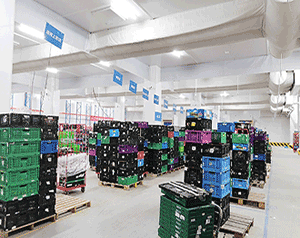 100噸冷庫造價(jià)大概多少錢？