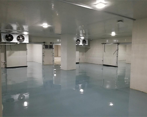 體外試劑冷庫建造方案設(shè)計(jì)