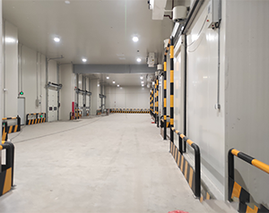 茶葉冷庫設置多少溫度合適