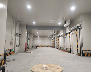 四川1500平方食品冷庫設計報價預算多少？