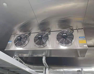 專業(yè)超低溫冷庫(kù)制作廠家