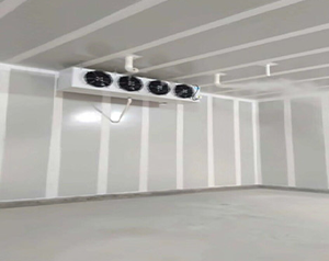 建一個(gè)水果氣調(diào)保鮮冷庫(kù)要多少錢？