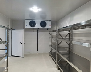 海南酒店廚房雙溫冷庫設(shè)計(jì)怎么做？