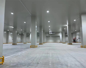 內(nèi)蒙古果蔬冷庫(kù)建造廠家