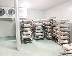 屠宰場冷鏈物流設(shè)施項目實(shí)施方案