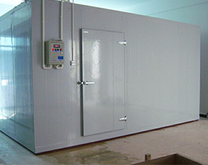 江西小型冷庫(kù)設(shè)計(jì)生產(chǎn)廠(chǎng)家