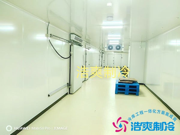 中型醫(yī)藥冷庫(kù)安裝