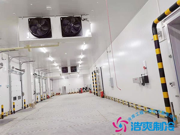 建造一個(gè)大型冷鏈倉儲(chǔ)投資明細(xì)