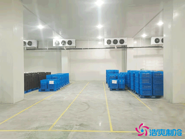 建造萬噸級大型冷庫造價大概多少錢？萬噸冷庫造價影響因素
