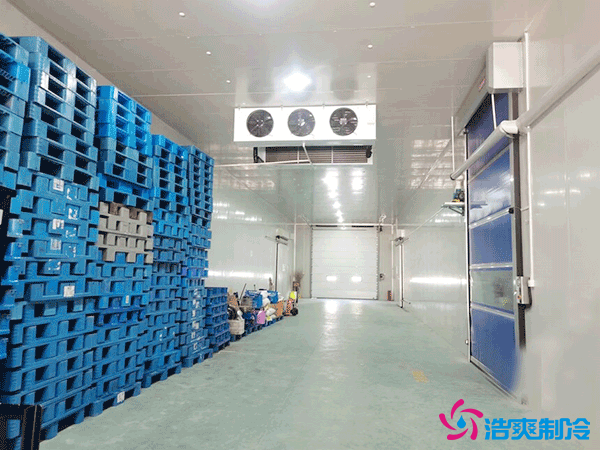 上海建設(shè)50噸冷藏庫(kù)造價(jià)多少錢？50噸冷庫(kù)需要多大的機(jī)器？