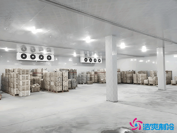 建造一個(gè)大型的冷庫(kù)安裝造價(jià)成本需要多少錢(qián)?