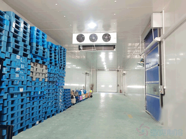 想建一個(gè)市級(jí)配送中心冷庫(kù)建設(shè)成本大概多少錢？