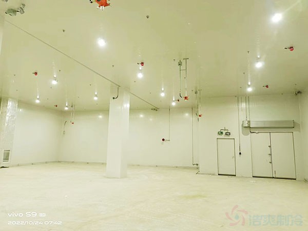 化工企業(yè)冷庫制冷系統(tǒng)設計依據(jù)什么規(guī)范？