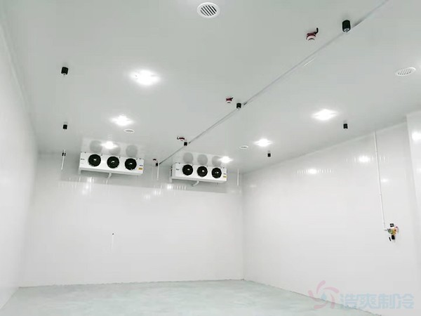 建冷庫(kù)的費(fèi)用與冷庫(kù)的容量有什么關(guān)系?