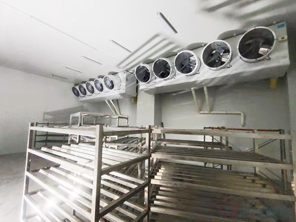 建造1000立方冷凍庫配多大壓縮機(jī)？造價預(yù)算多少錢？