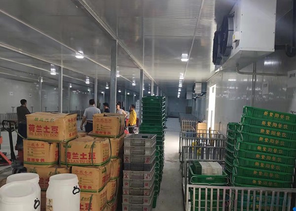 2000平米土豆冷庫竟要200多萬？揭秘氣調(diào)保鮮庫天價背后！