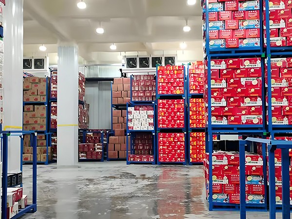 荔枝冷庫造價(jià)