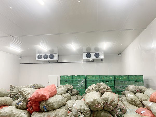 菠蘿蜜冷庫造價(jià)