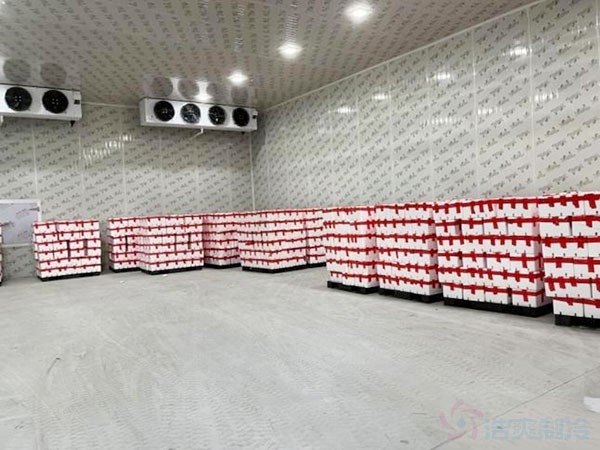 香蕉冷庫(kù)存儲(chǔ)多久